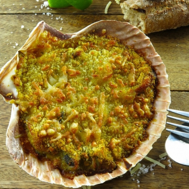 Coquille gratinée au ragoût de moules