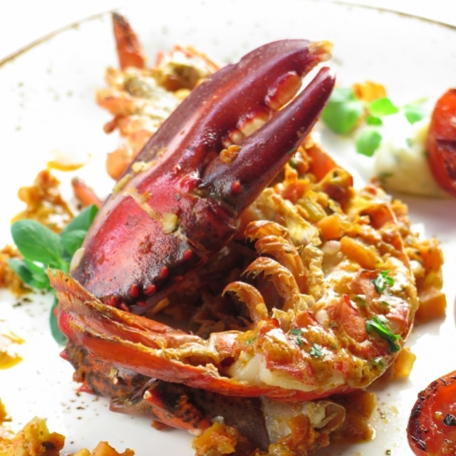 Homard l’armoricaine