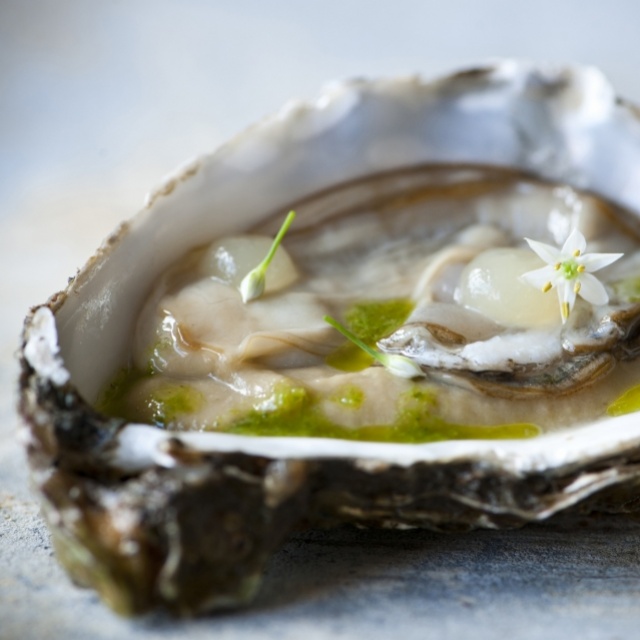 Oesters met crème aubergine en bergamot